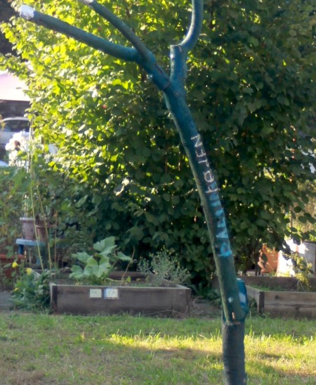 img_0704_bearbeitet_detail